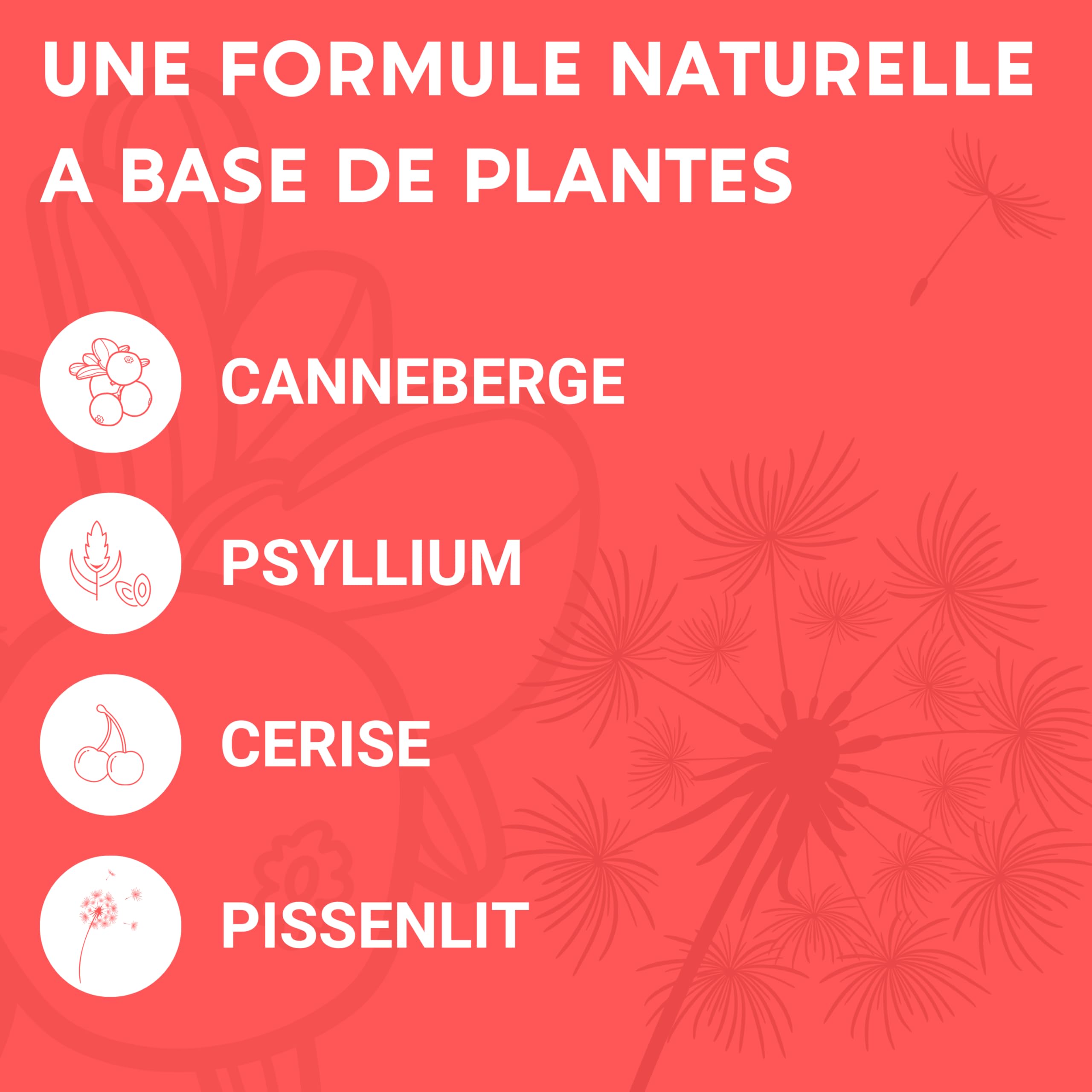 FORMULE CONFORT URINAIRE | Cranberry Psyllium Cerise Pissenlit | Complement alimentaire | Confort, Drainage, Régulation | 60 Gélules | Fabriqué en France