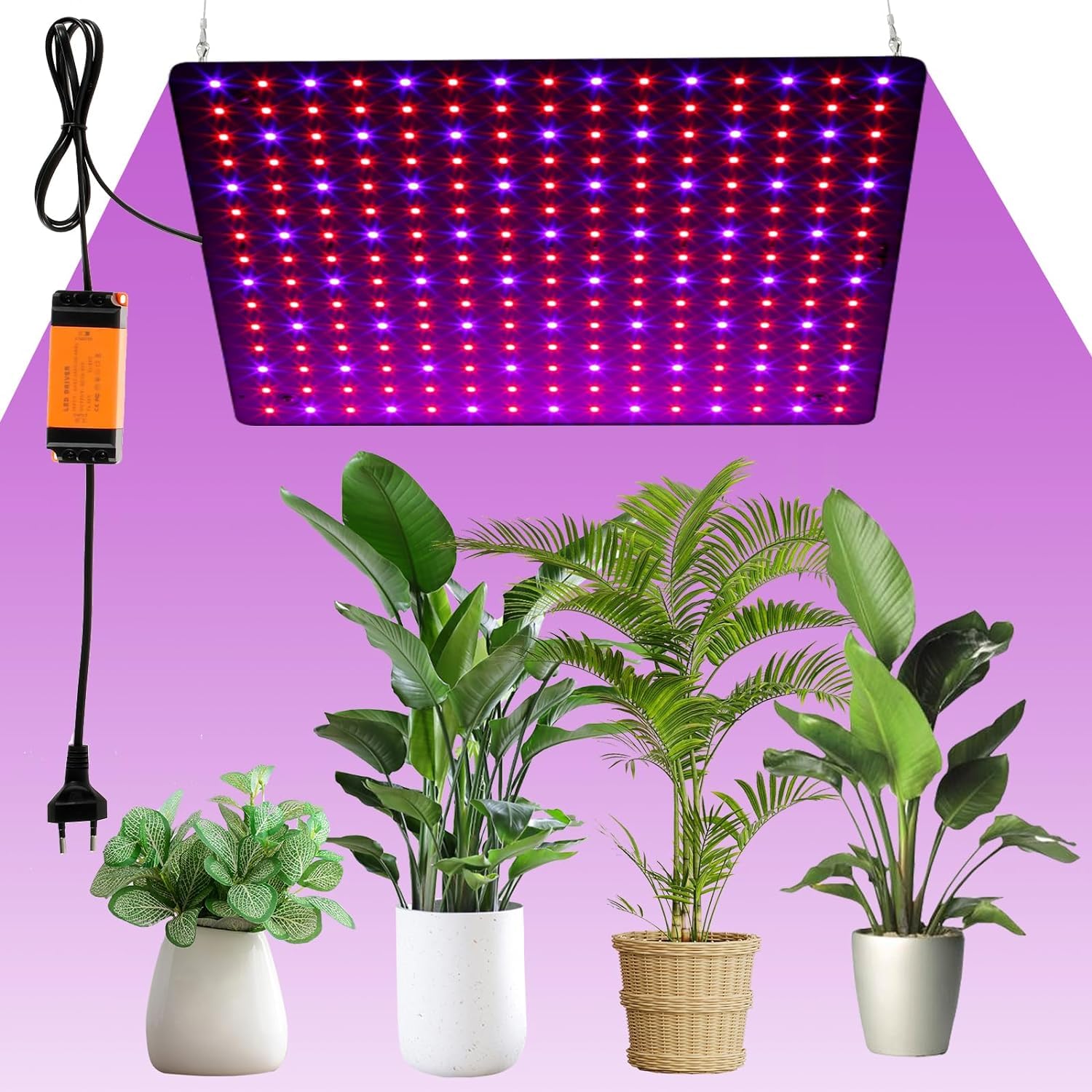 Lámpara para Plantas de Interior 225 LEDs 1000W Lámpara LED de Espectro Completo con 4 Ganchos Lámpara de Cultivo LED para Plantas de Invernadero, Hortalizas y Flores (Rojo+Azul)