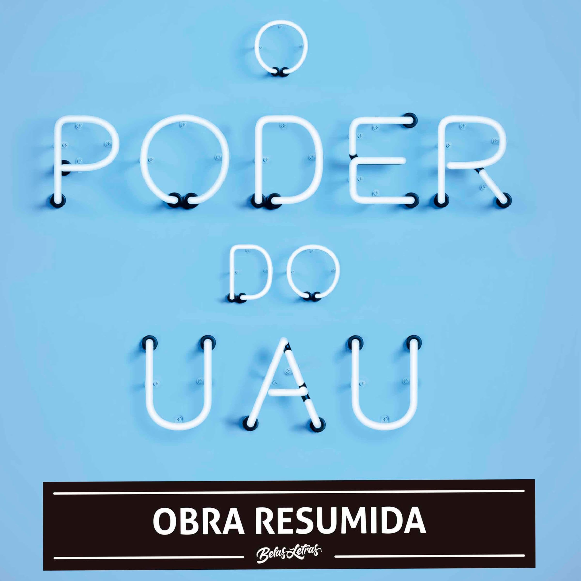 O poder do uau (resumo)