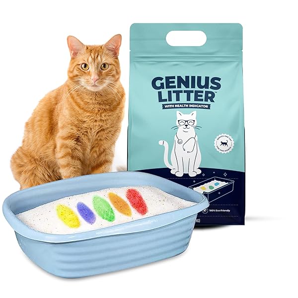 Genius Litter Health Monitoring Cat Litter, Featured on Shark Tank, Lightweight Crystal Silica Gel, Non Clumping, Dust Free, Low Tracking, Odor Control for Indoor Cats and Kittens, 6 lb Bag
