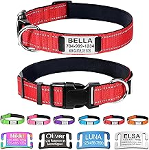 Personalized Dog Collars with Name Plate, Engraved ID Tags with Reflective Nylon Dog Collar, Adjustable Soft Neoprene Padded Collar for Dogs