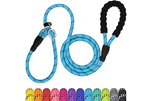 TagME Slip Leads for Dogs, 6 FT Heavy Duty Dog Leash