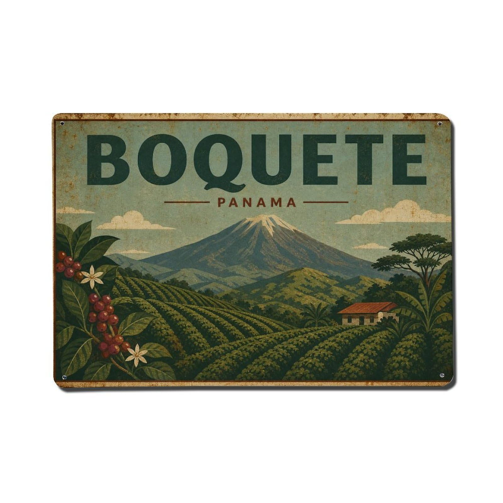 Vintage Travel Panama Boquete Metal Tin Sign
