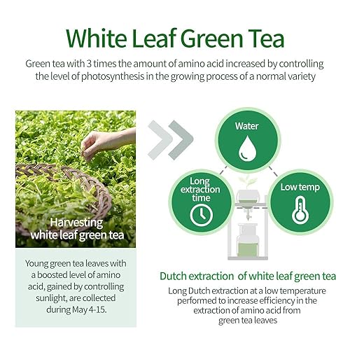 Miniatura 5 de AMOS PROFESSIONAL Champú The Green Tea [Fresco - Para cuero cabelludo graso] 17.6oz (500g) | Champú antiadelgazamiento y anticaída de cabello para