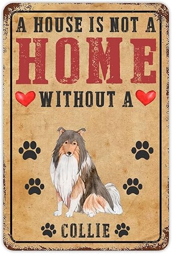 Vista 67 de Letrero de metal con texto en inglés «A House is Not A Home Without A Dogo Argentino» («A House is Not A Home Without A Dogo Argentino»)