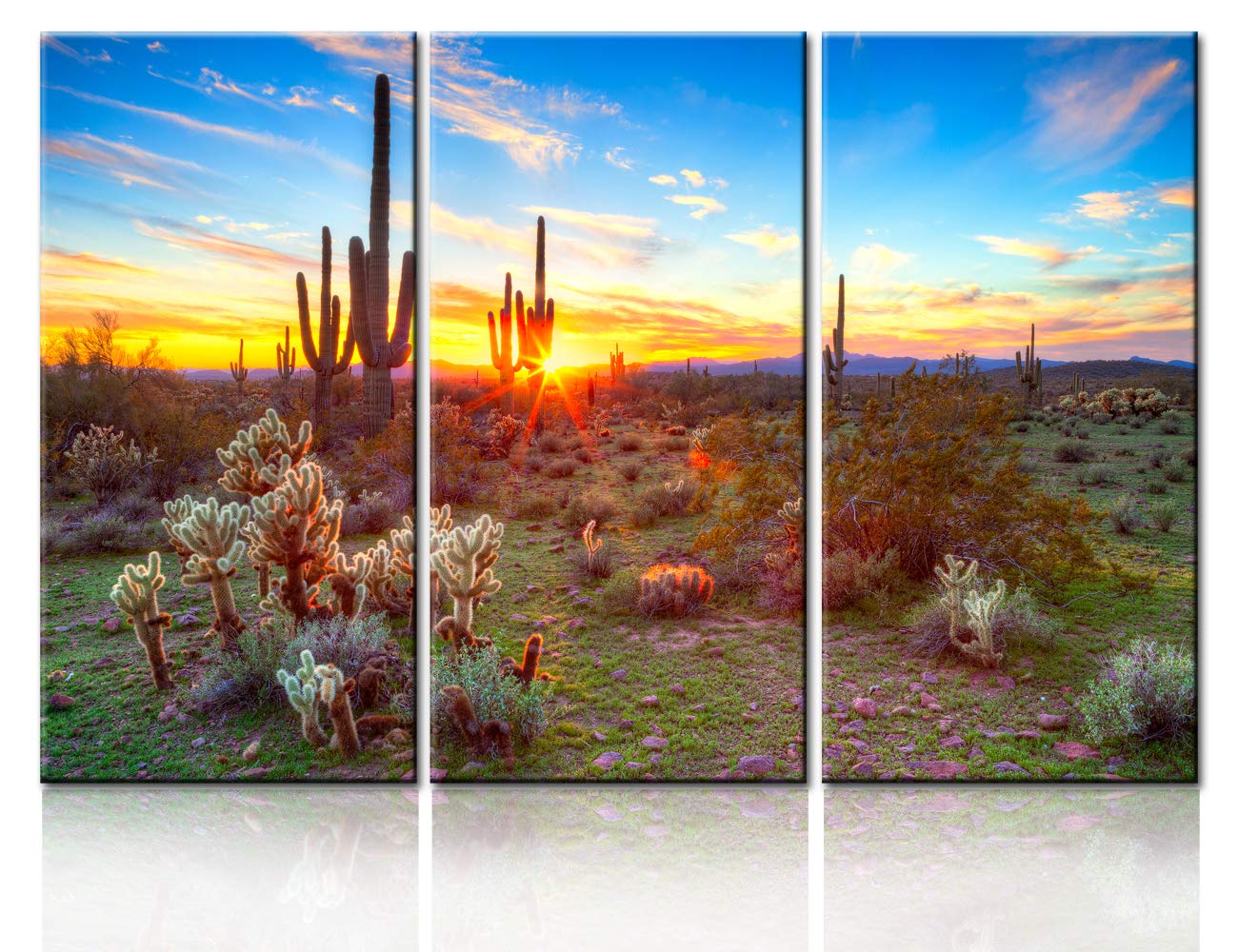 TUMOVO Native American Wall Decor Sonoran Desert Near Phoenix,Arizona Paintings Landscape Wall Art 3 Panel Canvas Modern Artwork Home Decorations for Living Room Giclee Framed Ready to Hang(40''x60''