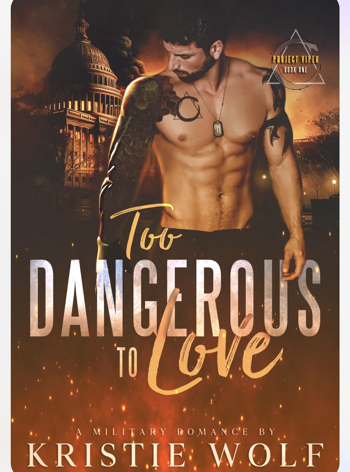 Too Dangerous to Love (Project VIPER Series Book 1)