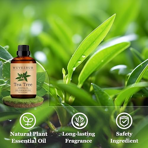 Miniatura 34 de Aceites esenciales de sándalo de 8.1 fl oz, aceite esencial puro de sándalo para difusor de aromaterapia, 8 onzas líquidas