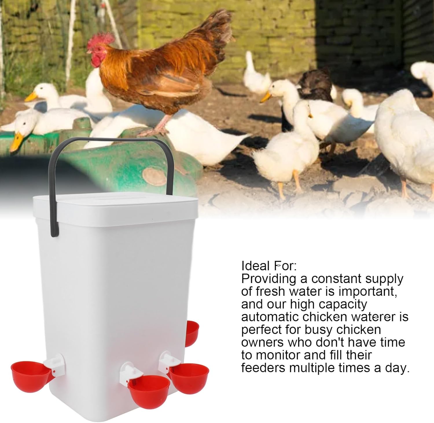 Topyond Chicken Feeder and Waterer Set, 12L Large Capacity Automatic Chicken Waterer with 4 Automatic-Fill Water Cup, Poultry Water Dispenser for Chicken Coops and Farms
