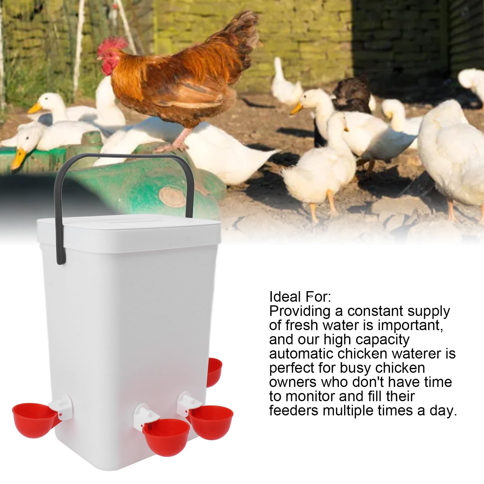 Kit Mangiatoia E Abbeveratoio Per Pulcini - In Plastica, Per Pollame E Anatre - Foto 9