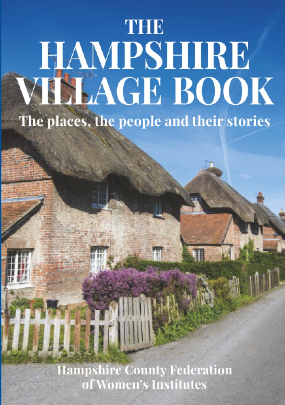 The Hampshire Village Book: The places, the people and their stories (The Village Book Series)