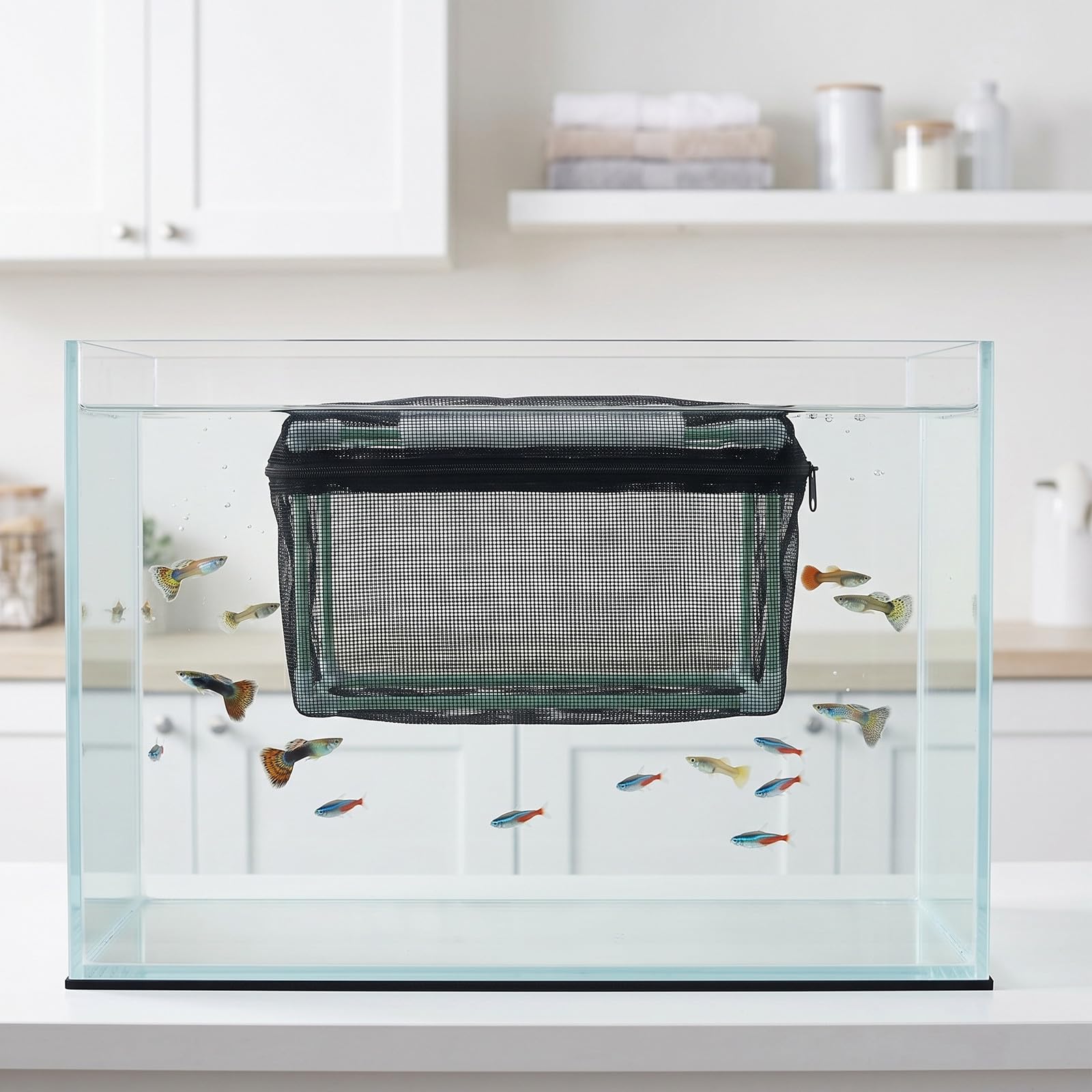GALPADA Wasseraquarien Zuchtbox mit Nylonnetz und Pp Rahmen Schwarz Schonend für Fische Formbeständig zur Aufzucht von Jungfischen im Aquarium