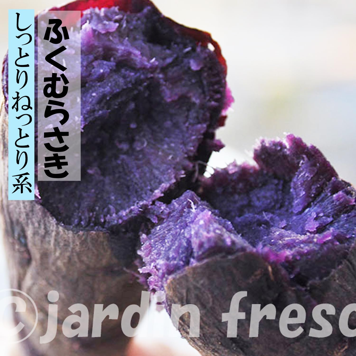 さつまいも苗⭕️フクムラサキ６０本⭕️泉６０本⭕️５月上旬〜中旬発送予定⭕️ Amazon | さつまいも ふくむらさき苗 カットパック4株セット しっとり