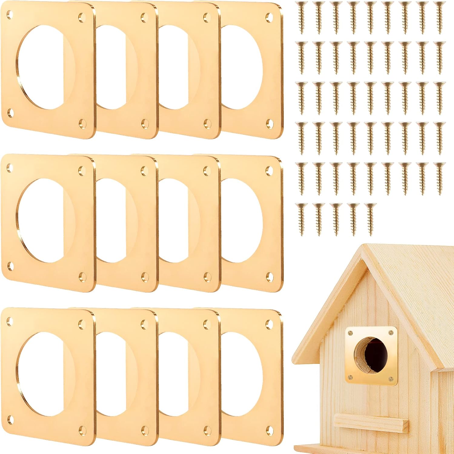 12Pcs Metal Bird House Guards 1 1/2" Eastern Bluebird