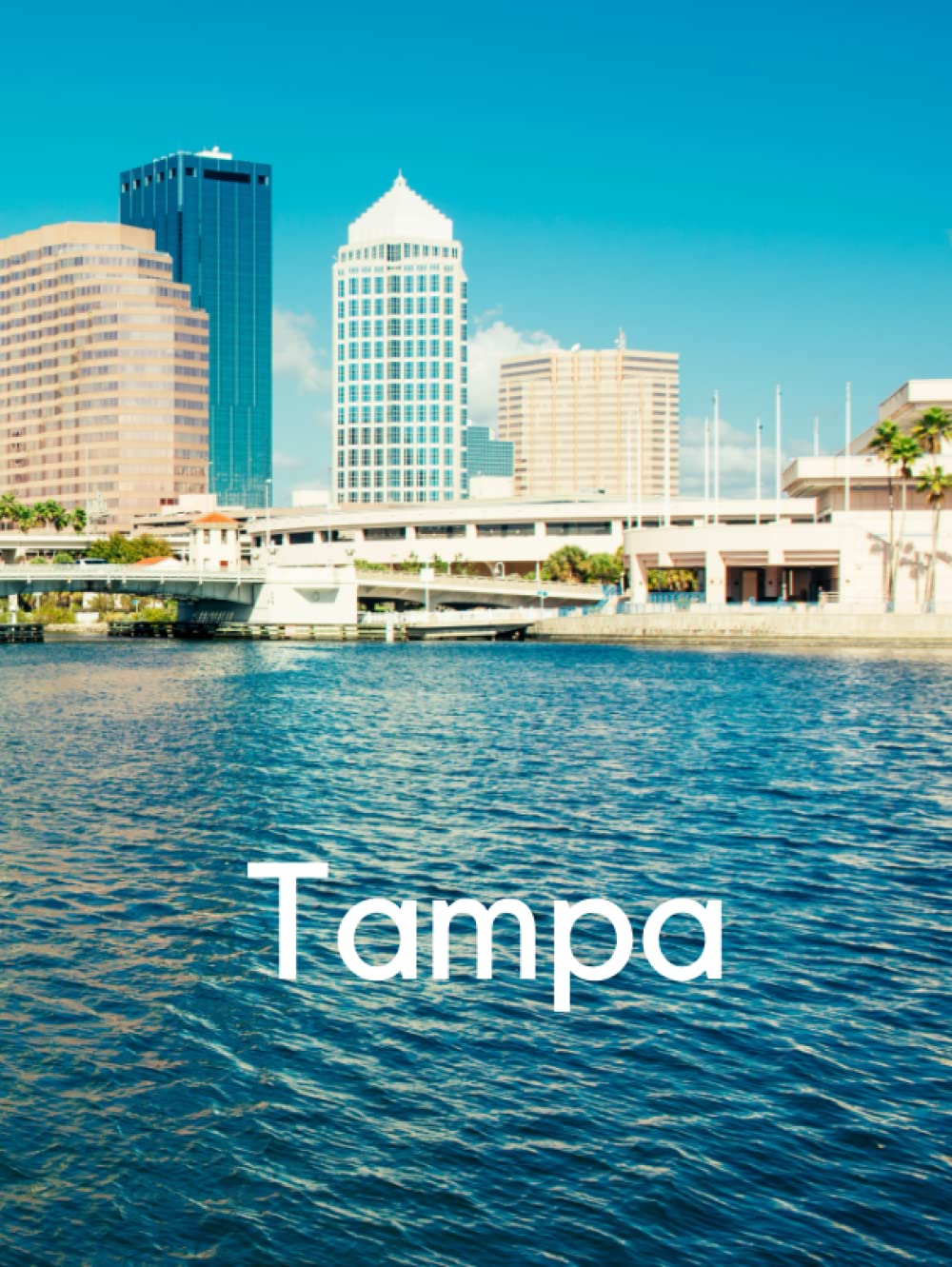 Tampa: Blue Decorative Hardcover Book For Coffee Table (Travel Series)      Hardcover – Large Print, November 13, 2022