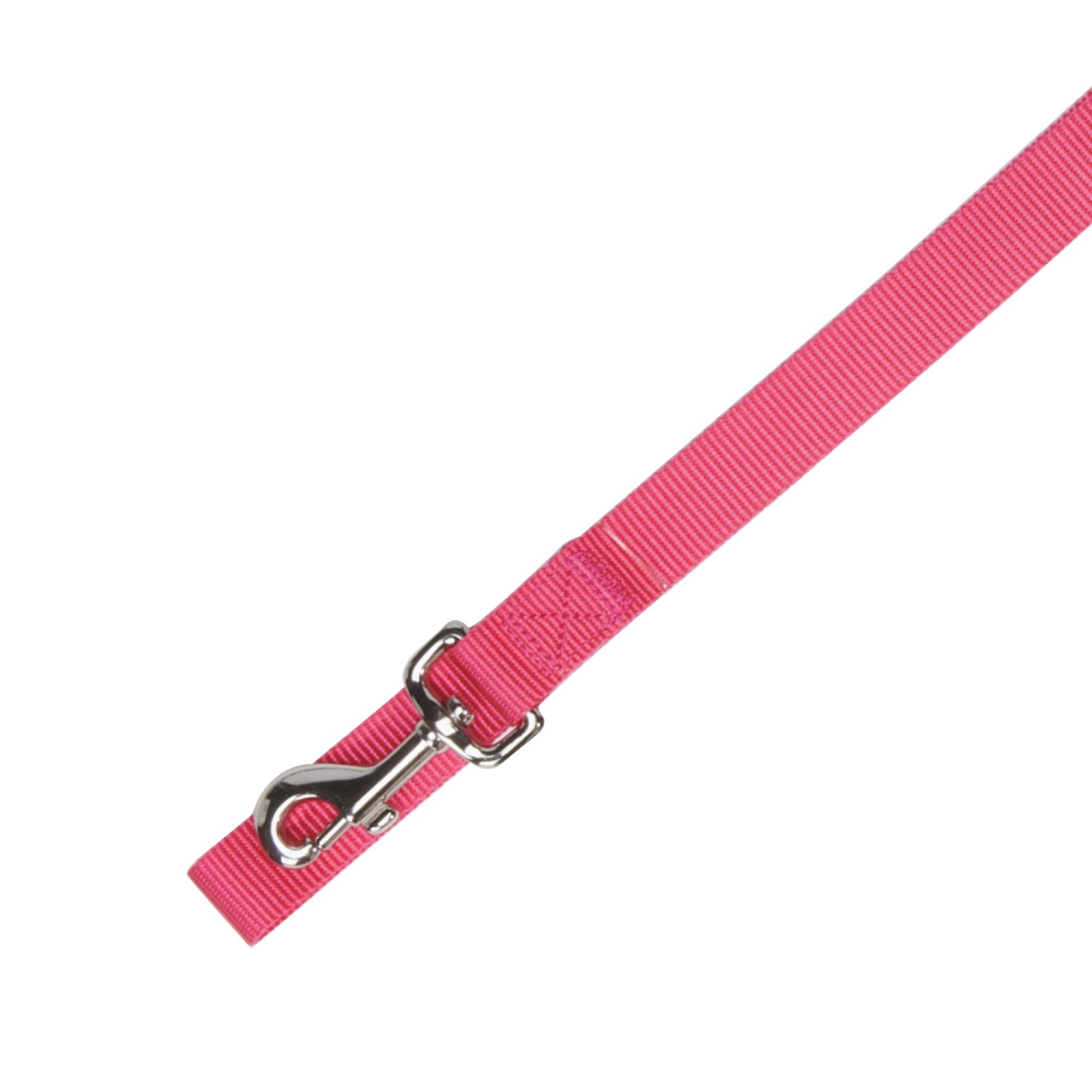 Nylon Dog Lead Size: 1" x 72" L, Color: Raspberry Sorbet