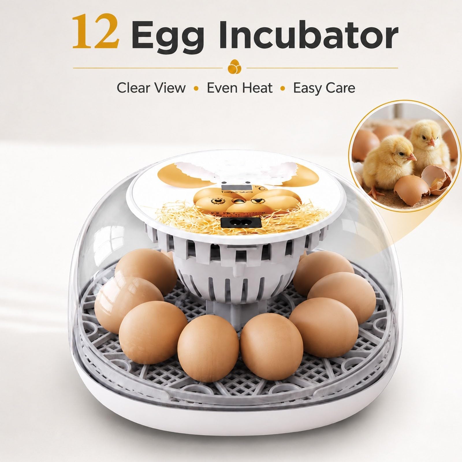 Incubatrice Automatica per 12 Uova, Incubatrice per Uova Con Controllo