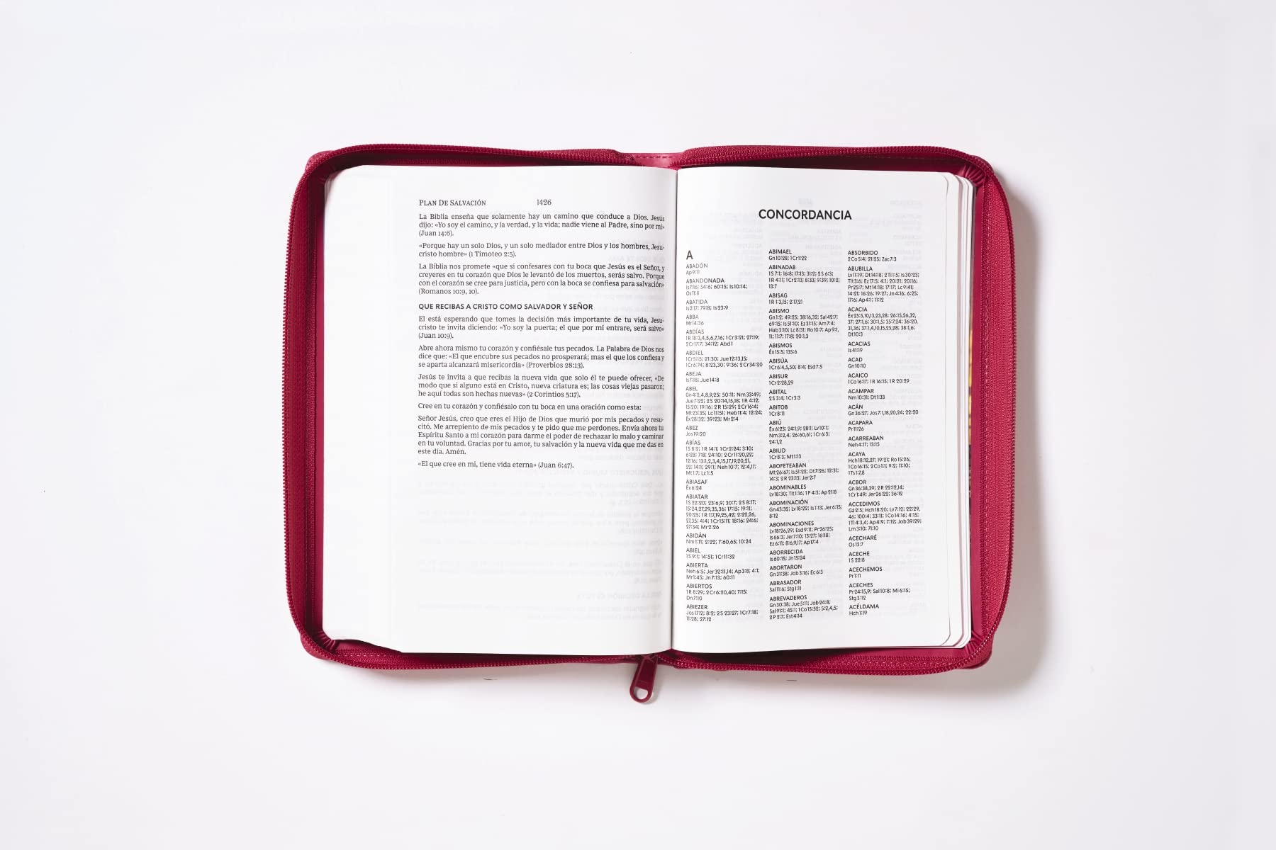 RVR60, Santa Biblia, Tierra Santa, Letra grande, Leathersoft, Fucsia, con Cierre, Palabras de Jesús en Rojo, Comfort Print (Spanish Edition)