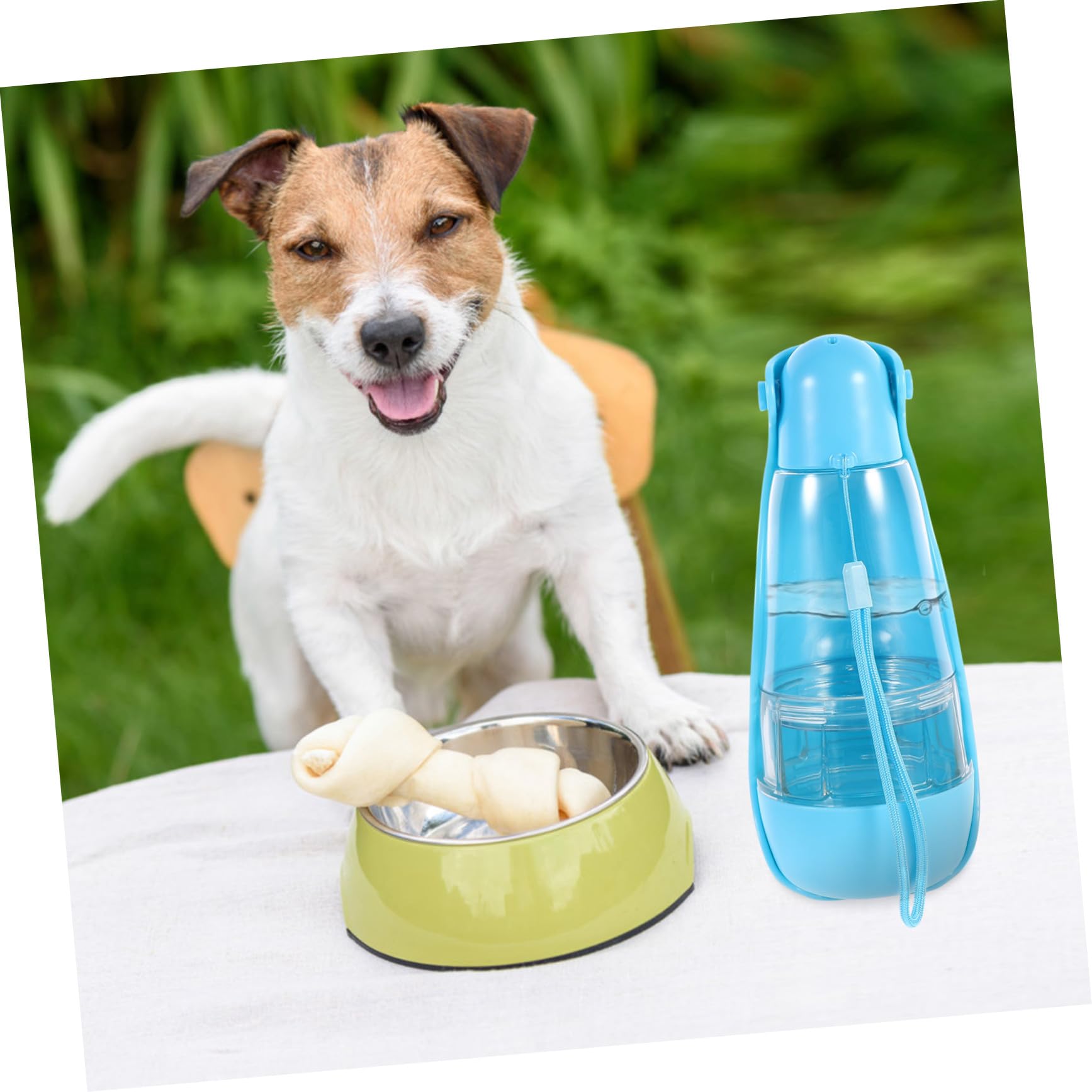 Hundeflasche Tragbar Auslaufsicher 260ml Wasser 200ml Futter Blau