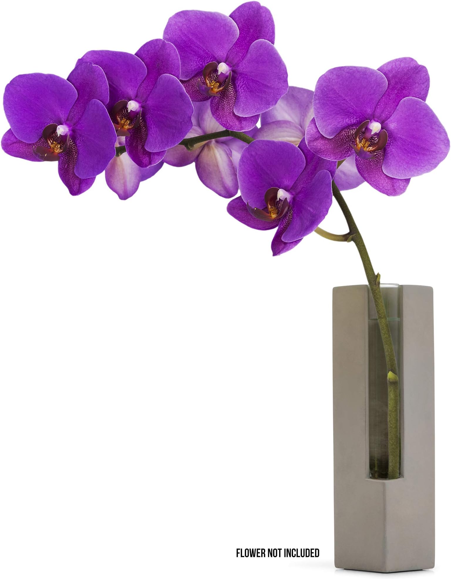 Casadorna Modern Flower Vase Glass Tube with Polished Concrete - Orchid Bud Vase Glass Tube Flower Vase | Decorative Centerpiece for Table Wedding Hotel Office Home Decor Floral Display | 8" H