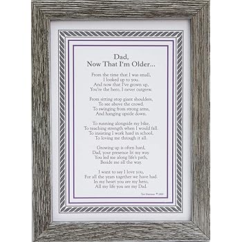 older dad birthday gifts