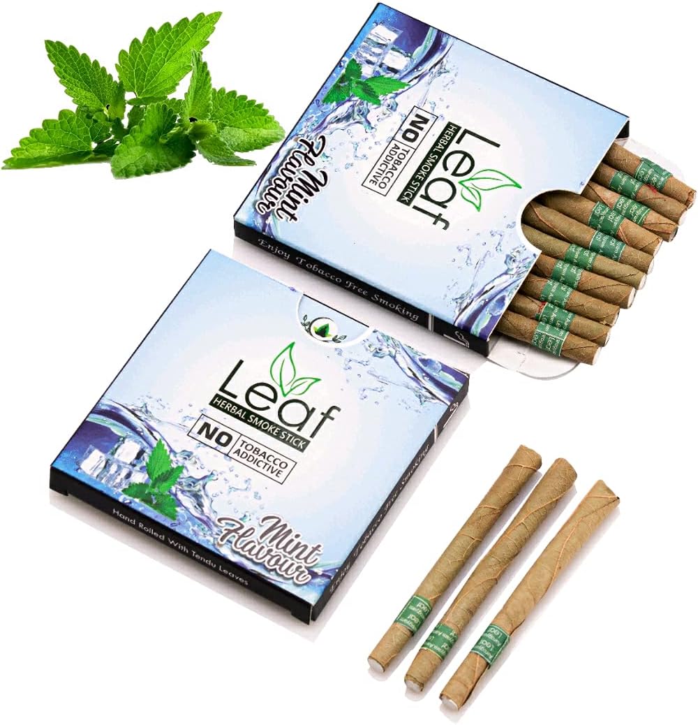 Aarogyam Herbals Leaf Mint Smoke Hand Rolled with Tendu Leaves 100% Tobacco & Nicotine Free Smoke for Cough, Cold and Relieve Stress - Pack of 2 (20 Sticks)