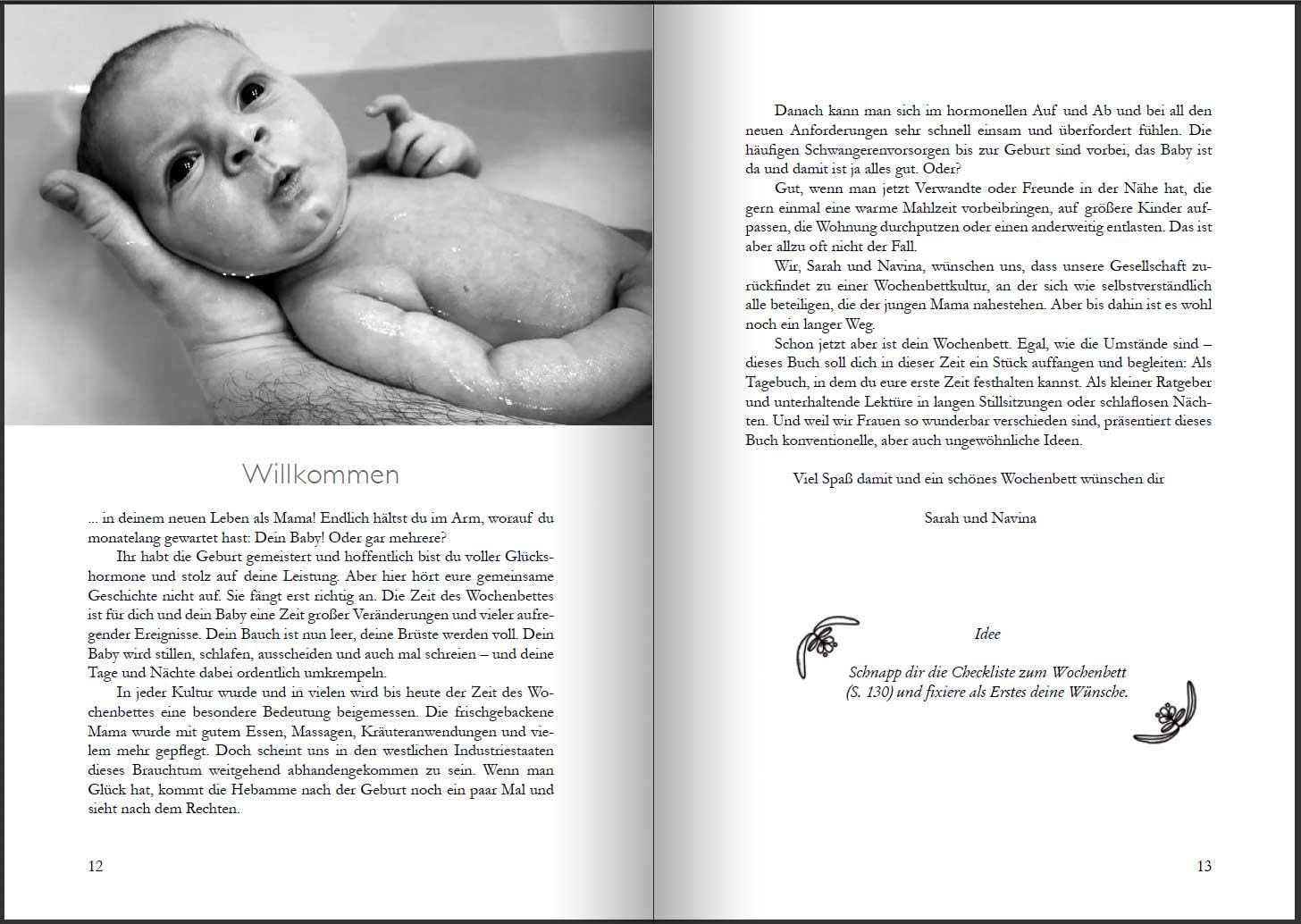 Wochenbett - Überlebenshandbuch, Tagebuch und Anker für die ersten Wochen nach der Geburt: Basiswissen, Illustrationen und Übungen, Praxistipps