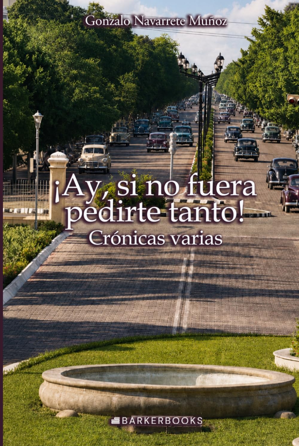 ¡Ay, si no fuera pedirte tanto!: Crónicas varias