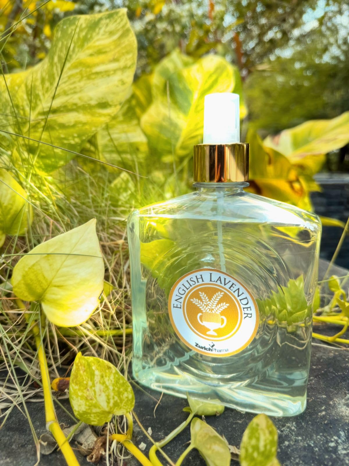 English Lavender Body Splash de 500ml Zurich Pharma | Amazon.com.br