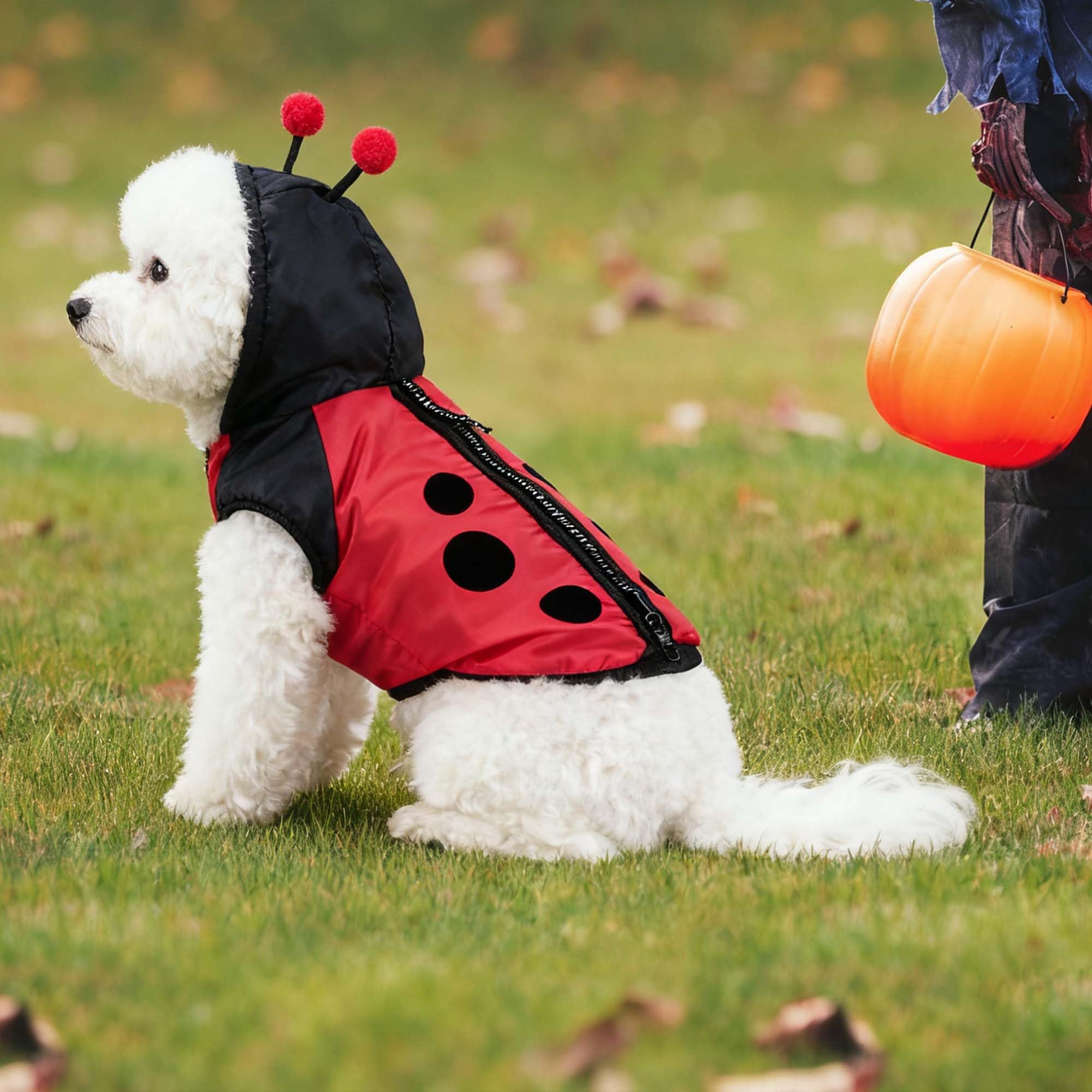 FLAdorepet Dienstmädchen-Kostüm Für Große Hunde – Mit Stirnband Für Halloween & Partys