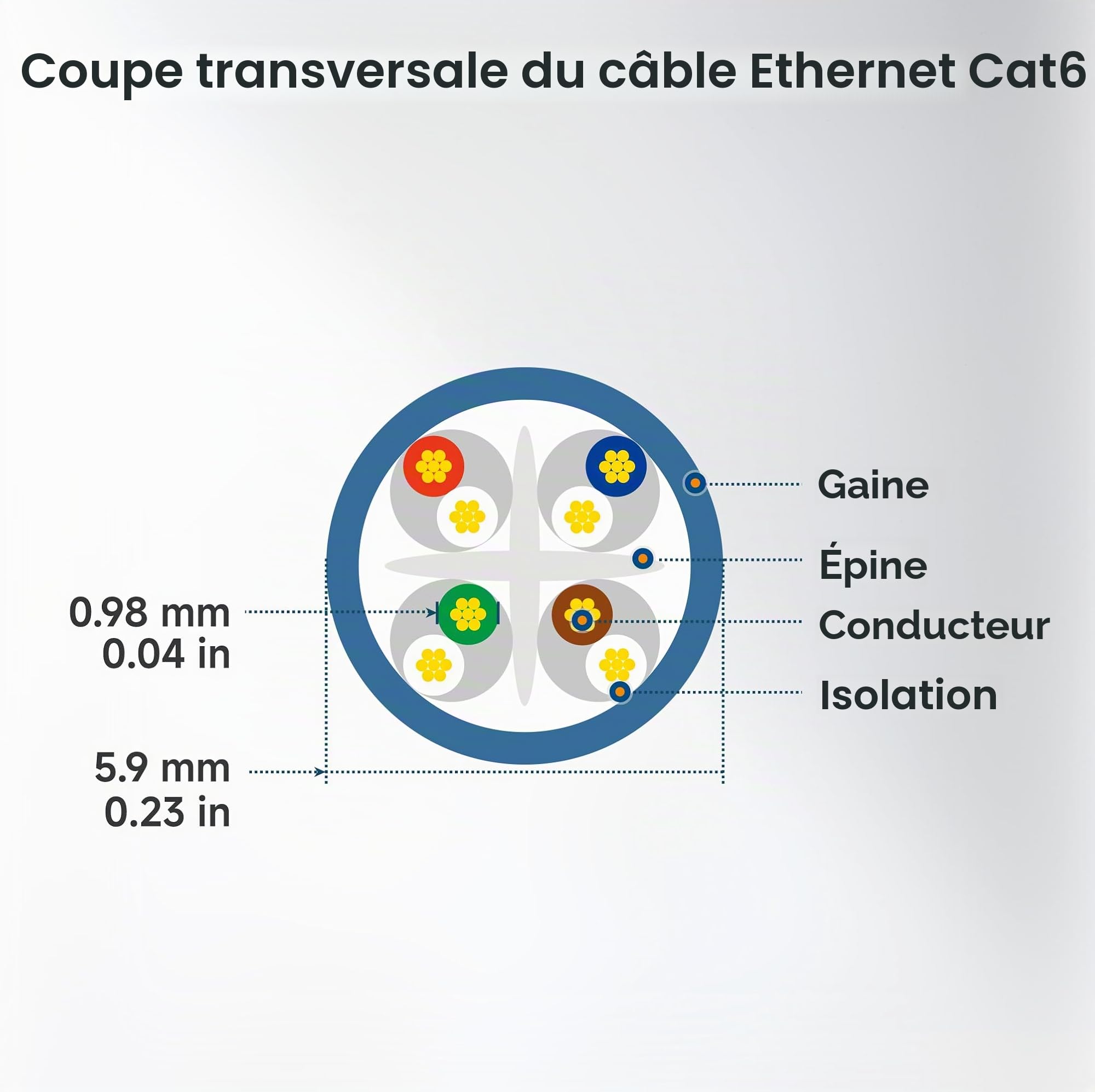 Cable Matters 160001-BLK-10x10 | Cuivre nu 24 AWG, RJ45 plaqué or, PoE++, bande passante 550 MHz, câble Cat6, cordon Ethernet
