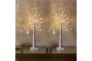 EAMBRITE Lighted Birch Tree for Indoor Christmas Decor