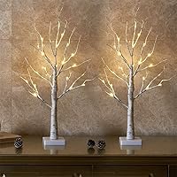 EAMBRITE 2-Pack 2FT Lighted Birch Trees with 24 Warm White LEDs - Battery/USB Timer Christmas Tabletop Mantel Decor