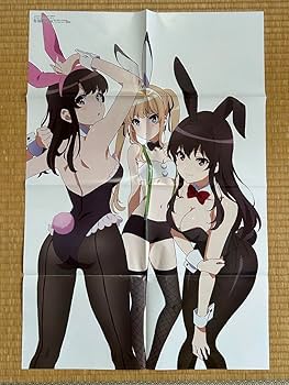 メガミマガジン b2ポスター メガミマガジン 非売品 両面B2ポスター 真夜中ぱんチ しかのこの