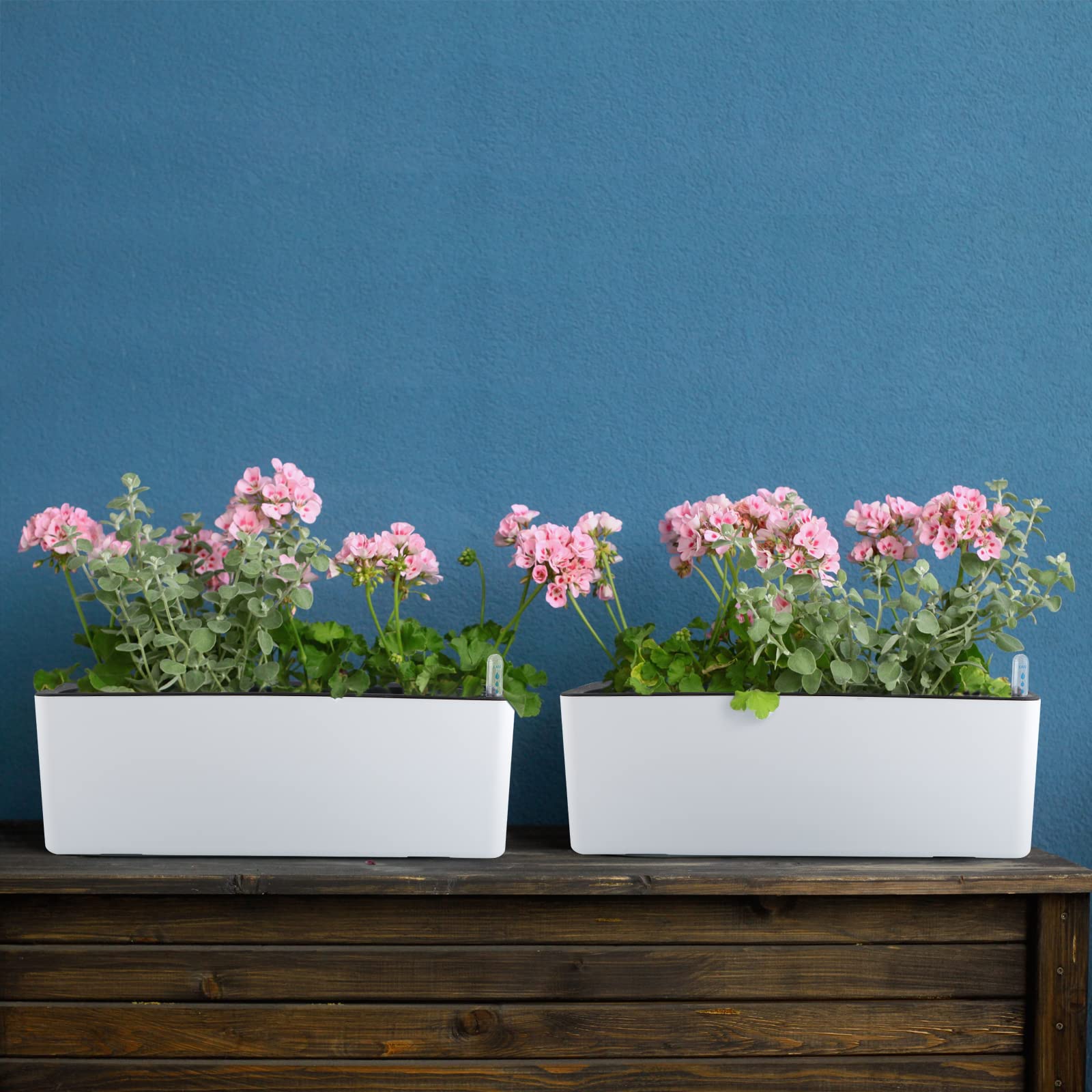 Skelang 2 Pz Vasi da fiori autoinnaffianti, vaso da fiori rettangolare con indicatore del livello dell'acqua, vaso da finestra per piante d'appartamento, piante grasse, germogli, pepe