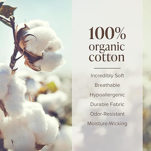 Miniatura 4 de Bare Home Juego de sábanas de franela de algodón orgánico tamaño King 100 algodón doble cepillado para mayor suavidad y comodidad cálido acogedor y