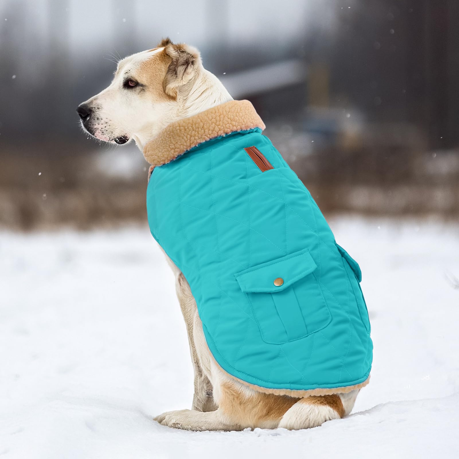 Elegante Ropa Para Perros Greyhound Para Mascotas: Calidad, Comodidad Y Durabilidad