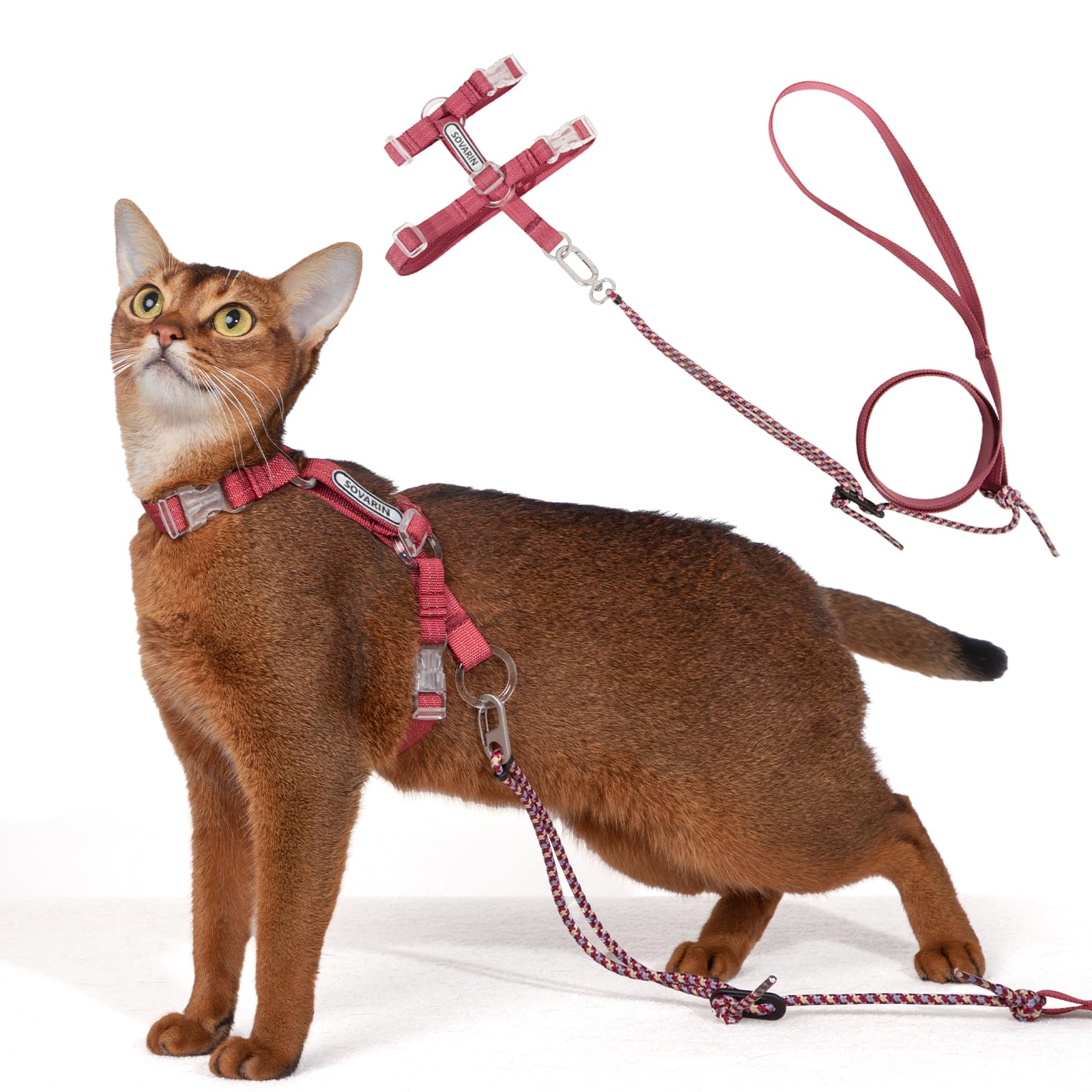 Harnais et laisse pour chat léger rouge idéal pour voyager et marcher