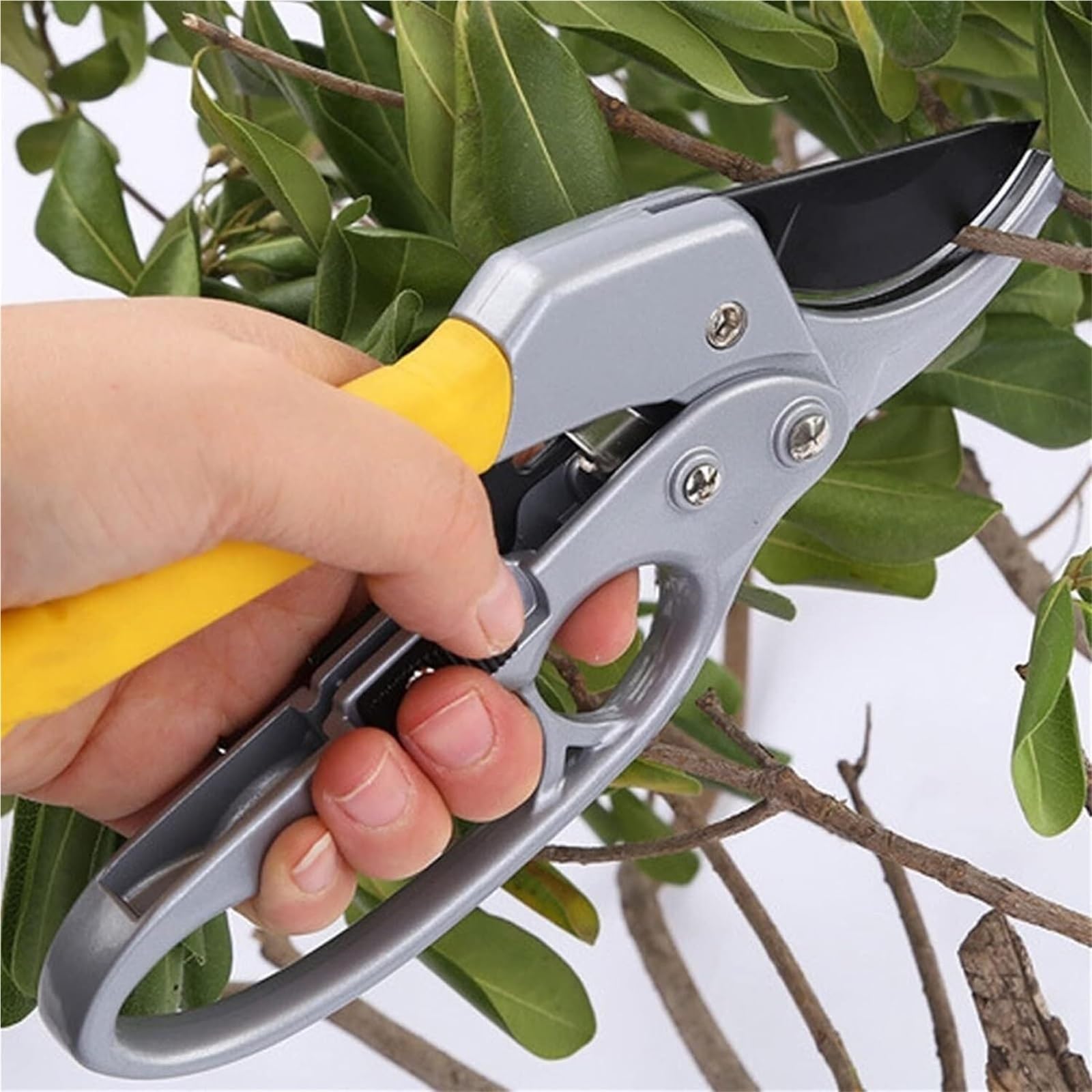 Bkhsgdxj One Color Pruning Shears, Pruning Shears，Garden Clippers，Garden Forest Plant Shears Garden Tools For Small Branches