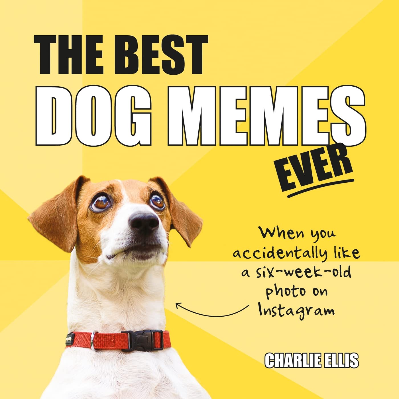 The Best Dog Memes Ever: The Funniest Charlie Ellis Hardback New