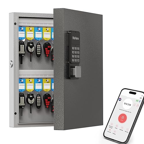 WeHere 32-Key Smart Key Lock Box Wall Mount – Commercial