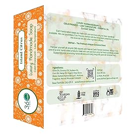 360Feel Island Citrus Soap - Made in the USA - Castile Handmade, All-Natural, Cold-Processed - Infused with Island Citrus for a Tropical Scent - Rich, Creamy Lather - 5 oz