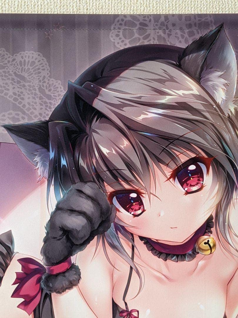 Amazon.co.jp: 9-nine- ぱれっと 結城希亜 ソフマップ特典B2 