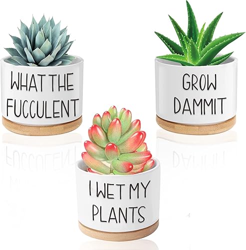 Divertidas macetas para suculentas, macetas de cerámica de 3.15 pulgadas con bandeja de bambú, bonitas macetas de cactus con agujero de drenaje,