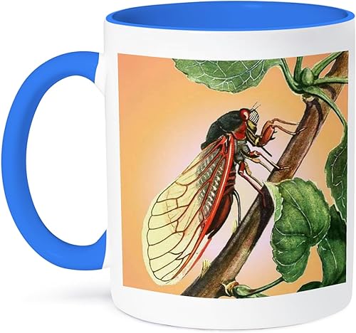 3dRose Taza de café, tamaño – 11 oz – Cicada – cigarra, cigarras, magicicada septendecim, insectos, insectos, insectos, insectos alados Pintura