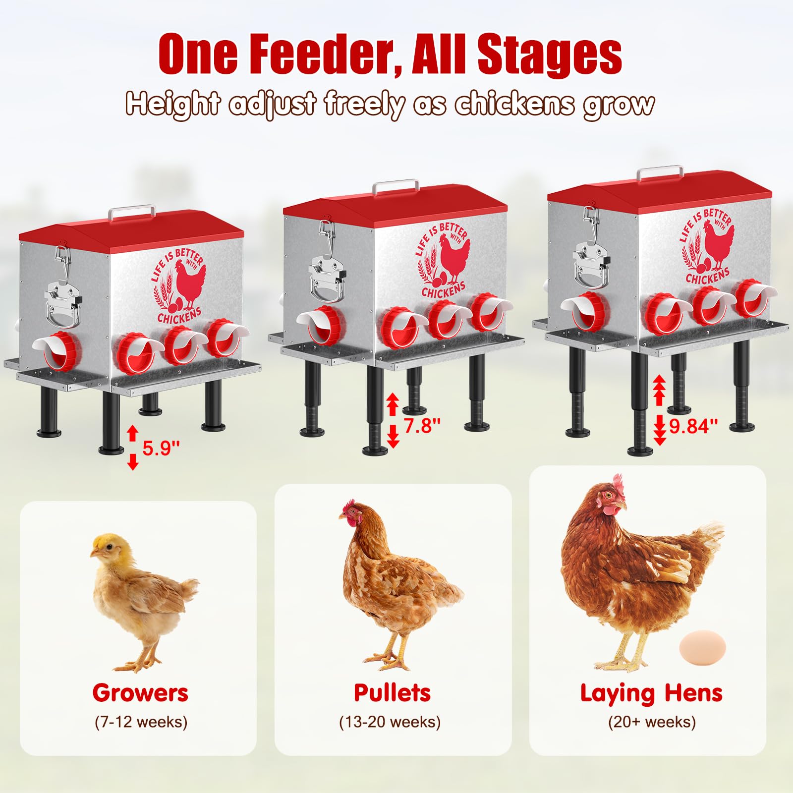 Pawaboo Comedero automático para pollos de 55 libras, comedero de aves de corral de gran capacidad, 7 puertos de alimentación, ventana de nivel de alimentación visible, patas ajustables en altura
