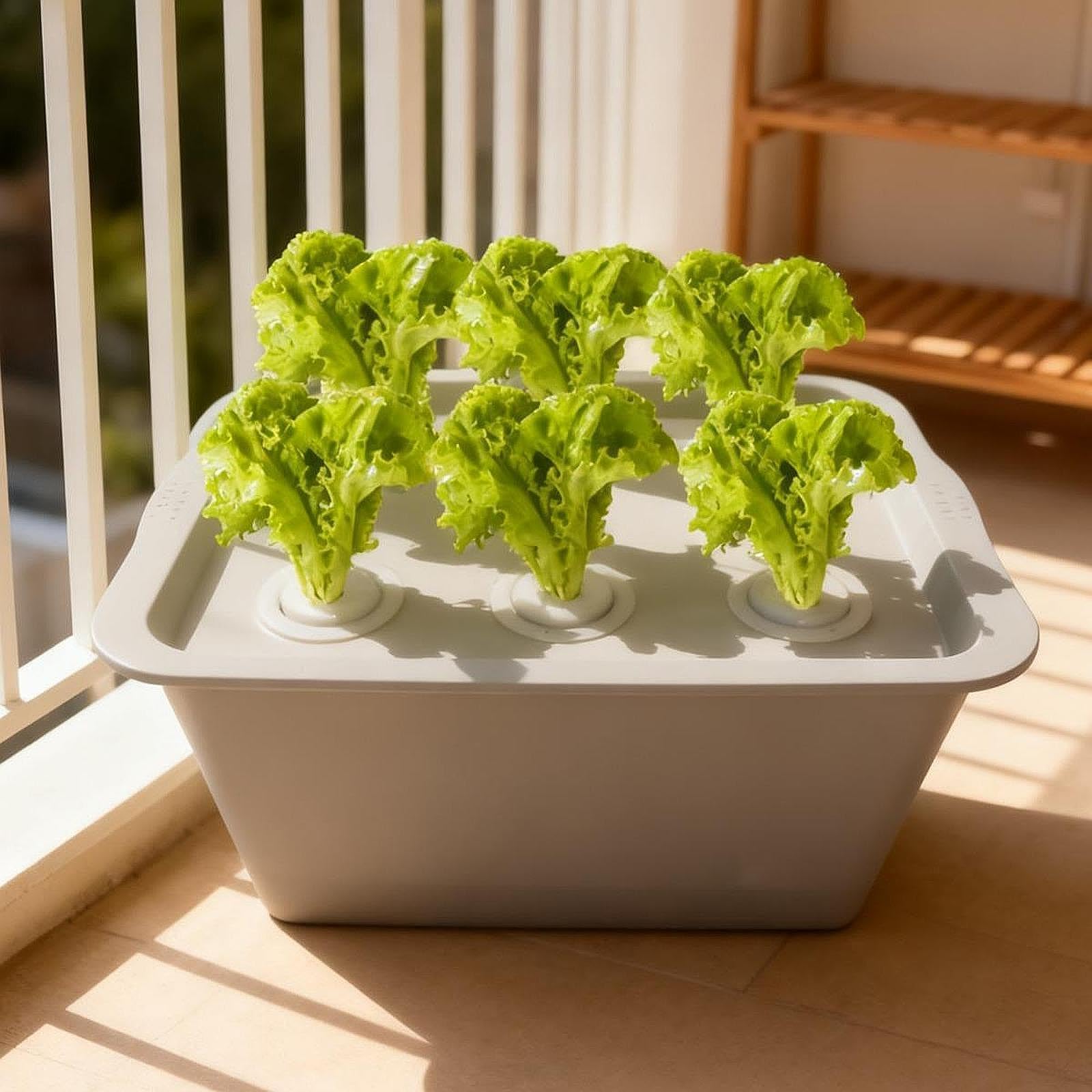 Générique Boîte Hydroponique Système d'Irrigation Automatique Kit de Culture Bac de Plantation Compact et Solide Adaptée à la Production de Légumes