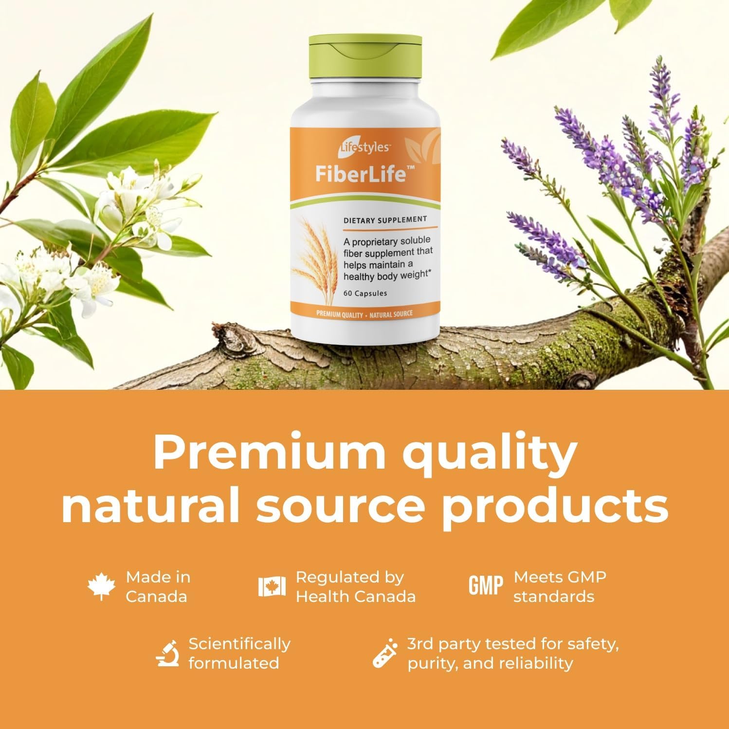 Intra Lifestyles FiberLife Supplement – Soluble Fiber for Digestive Health & Appetite Control with Konjac, Guar Gum, Xanthan Gum, and Cinnamon – Made in Canada – 60 Capsules (60 Capsules (Pack of 1))