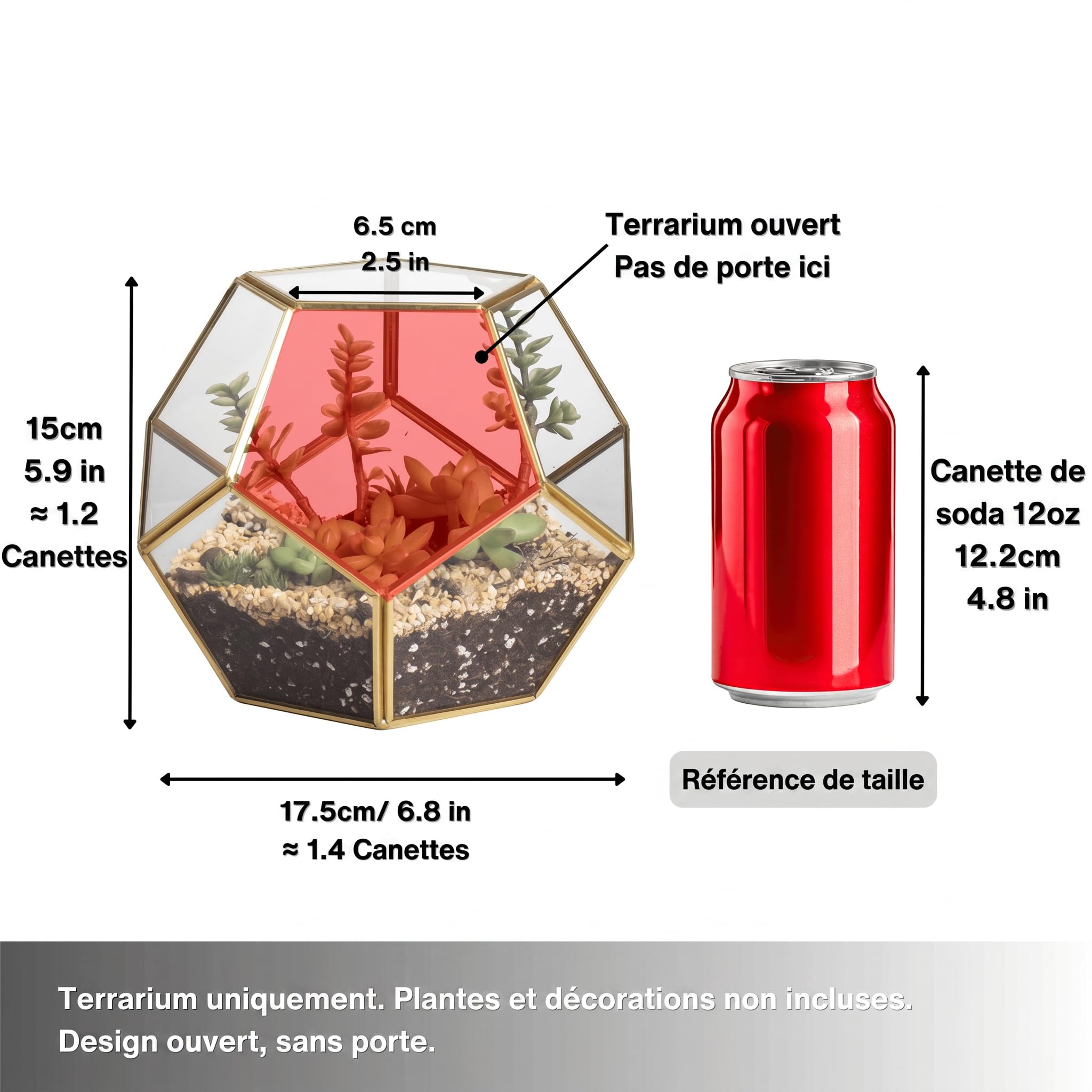 NCYP Terrarium en Forme de dodécaèdre et plaques de Verre pentagonales pour Plante Transparent Gold Copper Transparent (Pas de Plantes)