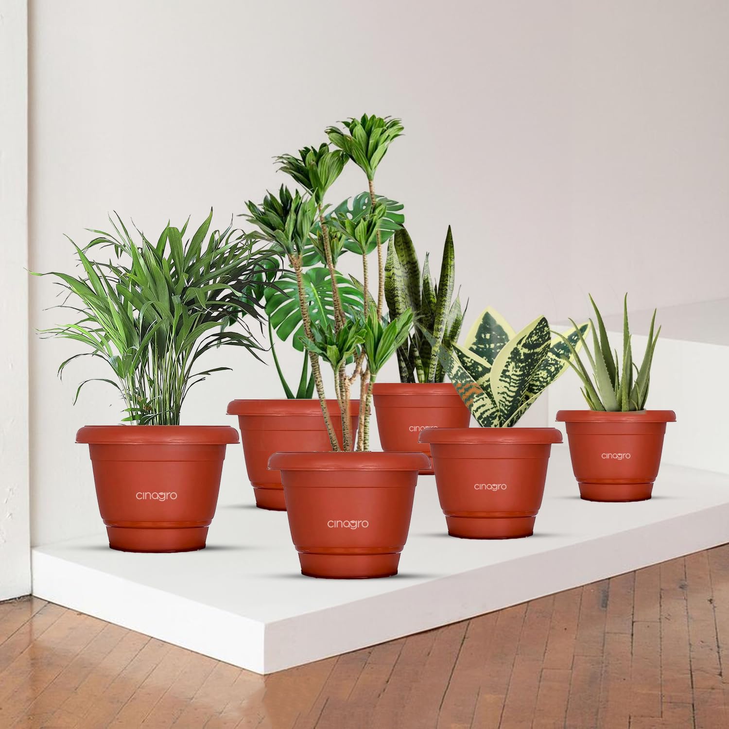 See full amazon price history chart for CINAGRO Plastic Round Pot (10 inch - Pack of 6) Gamla Pot, UV Treated Planter, Heavy-Duty, Highly Durable Plant Container, Gamla for Indoor Home Decor & Outdoor Balcony Garden CINAGRO Plastic Round Pot (10 inch - Pack of 6) Gamla Pot, UV Treated Planter, Heavy-Duty, Highly Durable Plant Container, Gamla for Indoor Home Decor & Outdoor Balcony Garden (B0D1DP1X91) Amazon Price History, Amazon Price Tracker